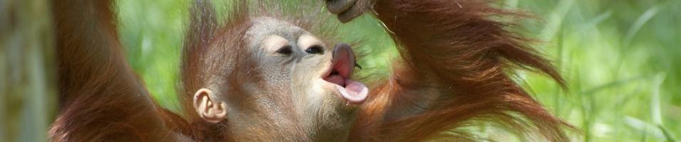 Baby Singing Lesson